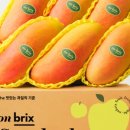 레드브릭스