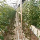 노안농장 이미지