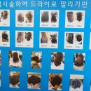 하이클라스미용실