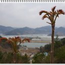 하동부용농장