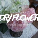 호연플라워 이미지