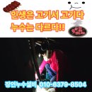 양산차 수리맨 | 양산누수수리 업체 고기서 고기일까