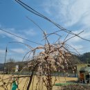 김연순 | [파크골프] 마산여성인력센터 파크골프1기 진주 사봉 파크골프장 라운딩 후기