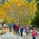 Ontario Peak, Mt Sugarloaf, Falling Rock Canyon Loop 09-27-2025 첫 이야기 이미지