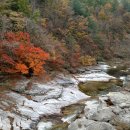 제376차 평창 오대산 풍경 ( 블랙야크, 산림청 100대 명산 ) 이미지