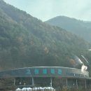 석사담다태권도장 | 🥋 국가대표 선발전 후기