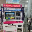제주도 배편 차량선적 예약방법과 가격비교 아리온제주 녹동항 후기