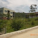 사슴농장 이미지