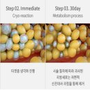 경희김세윤한의원 이미지