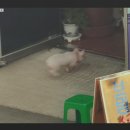 호남떡방앗간 이미지