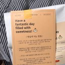 스코넨