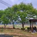 고요히 민박 이미지