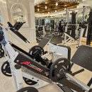 비디피트 | [오늘의 운동]도미디피트니스 광교