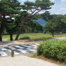 더그린 행정사 사무소 이미지