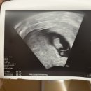 꽃과샘산부인과의원 이미지