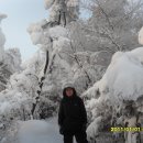 꿈의궁전 이미지