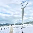 향토목장 이미지