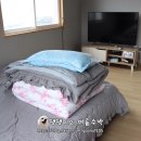 씨더비양