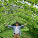 파주정수농장 이미지