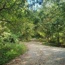 파주 박달산 등산후기