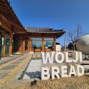 월지 | 경주 빵지순례 월지빵 솔직 후기 경주 기념품 추천