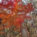 반송공원 이미지