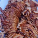 복자1길 | [춘코의 하루 #1] 청량리 경동시장 나들이｜참조은콩 훈제오리, 동경통닭, 시장호떡