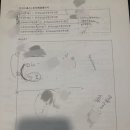 메이빈컴퍼니 | 대전 아이린 웨딩/가격공개/스드메/토탈샵/방문 후기/결혼박람회/본식 드레스 메이크업