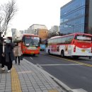 빨간버스