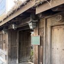 J-051 | [카페맛집] 부산 도심 속 힐링 감성 가득한 모모스커피 본점 후기