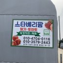 스타베리팜 이미지