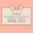 자연유산(Spontaneous abortion) : 원인, 치료 ( 맥도날드수술/쉬로드카술)