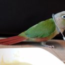 군포굿닥터동물병원 이미지