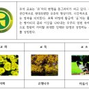 유석초등학교 이미지