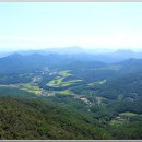 스톤게이트C.C 이미지