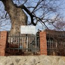 소답동210 이미지