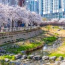 성내4교 아래 이미지