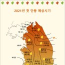 2021 단풍 절정예상시기 이미지