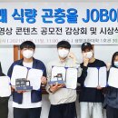 아라곤충 이미지