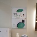 N연세감동치과 네이버블로그