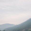 달게스트하우스 | [정선 여행] 산속에서 만나는 따뜻한 달빛, '정선의 달 게스트하우스' 여행 후기
