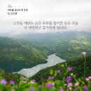 태적