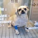 해운대 플러스동물병원 이미지