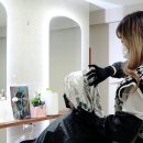 살롱포레스트 에이미