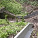 생태터널입구 이미지