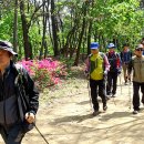 춘배농장 이미지