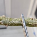 명반(명옥이네반찬가게) 이미지