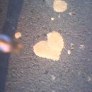 차와사람들 이미지