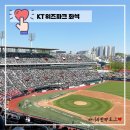 KT위즈파크 1루 스카이존 403구역 후기 | 시야·응원·음식주문 꿀팁 정리