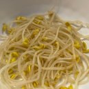 무교동유정낙지청담점 이미지